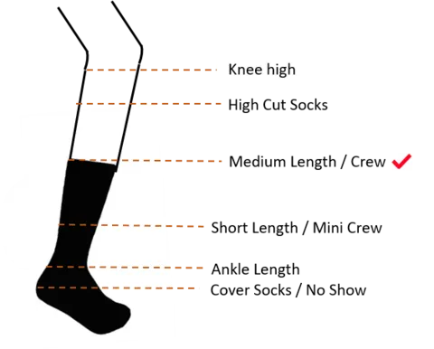 Playful Socks - Koala