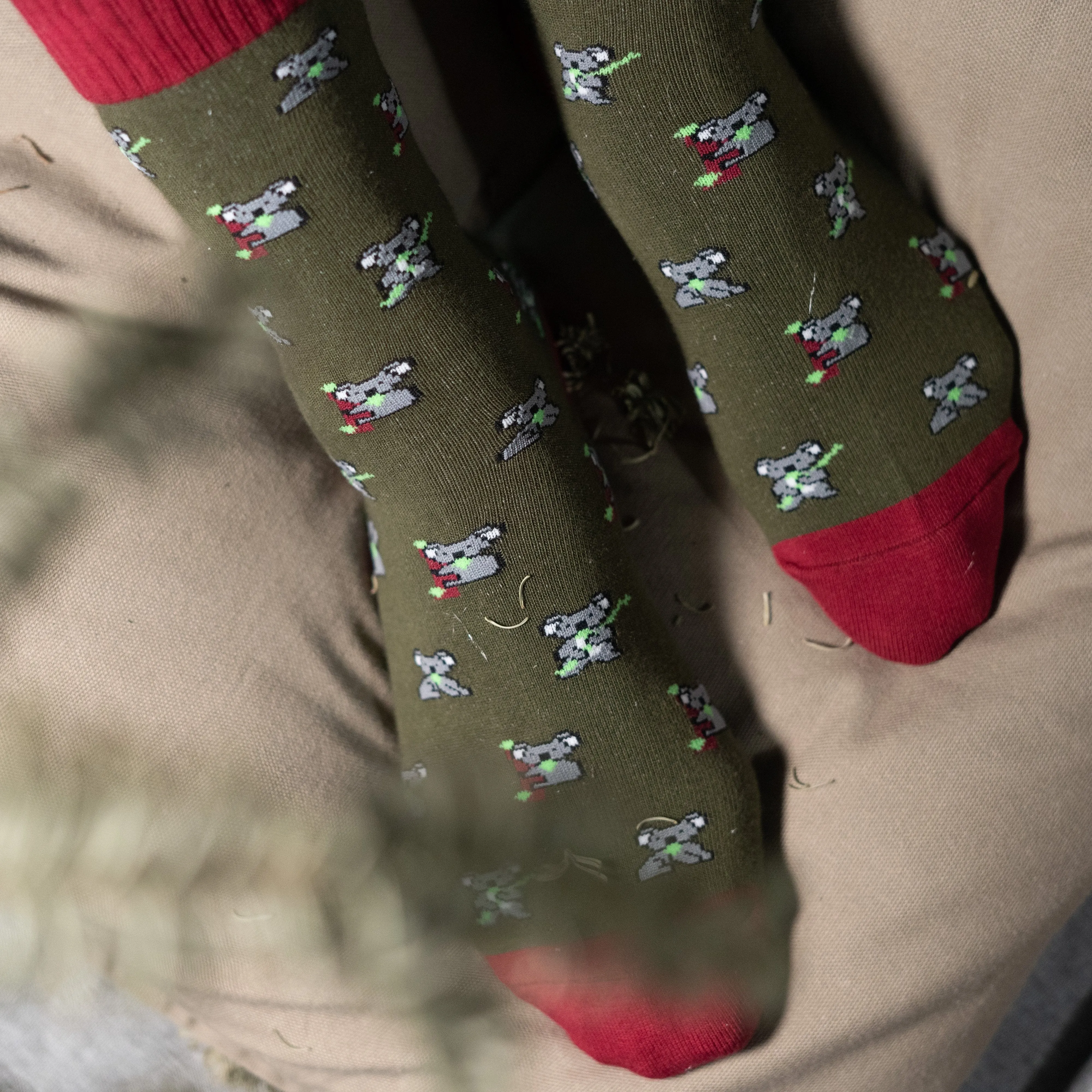 Playful Socks - Koala