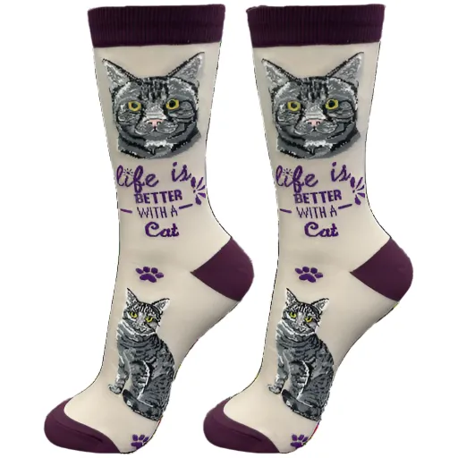 Socks  Silver Tabby     841-8