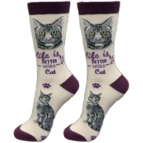 Socks  Silver Tabby     841-8
