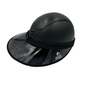 Sun Visor